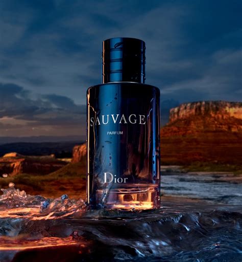 christian dior sauvage stores|christian dior sauvage for women.